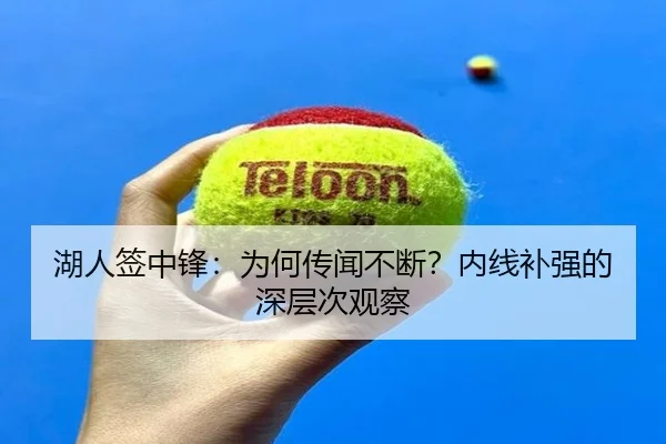 湖人签中锋：为何传闻不断？内线补强的深层次观察